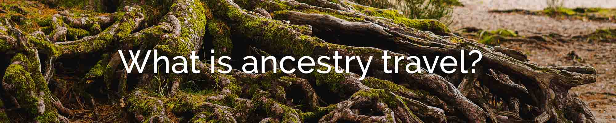 What is ancestry travel?