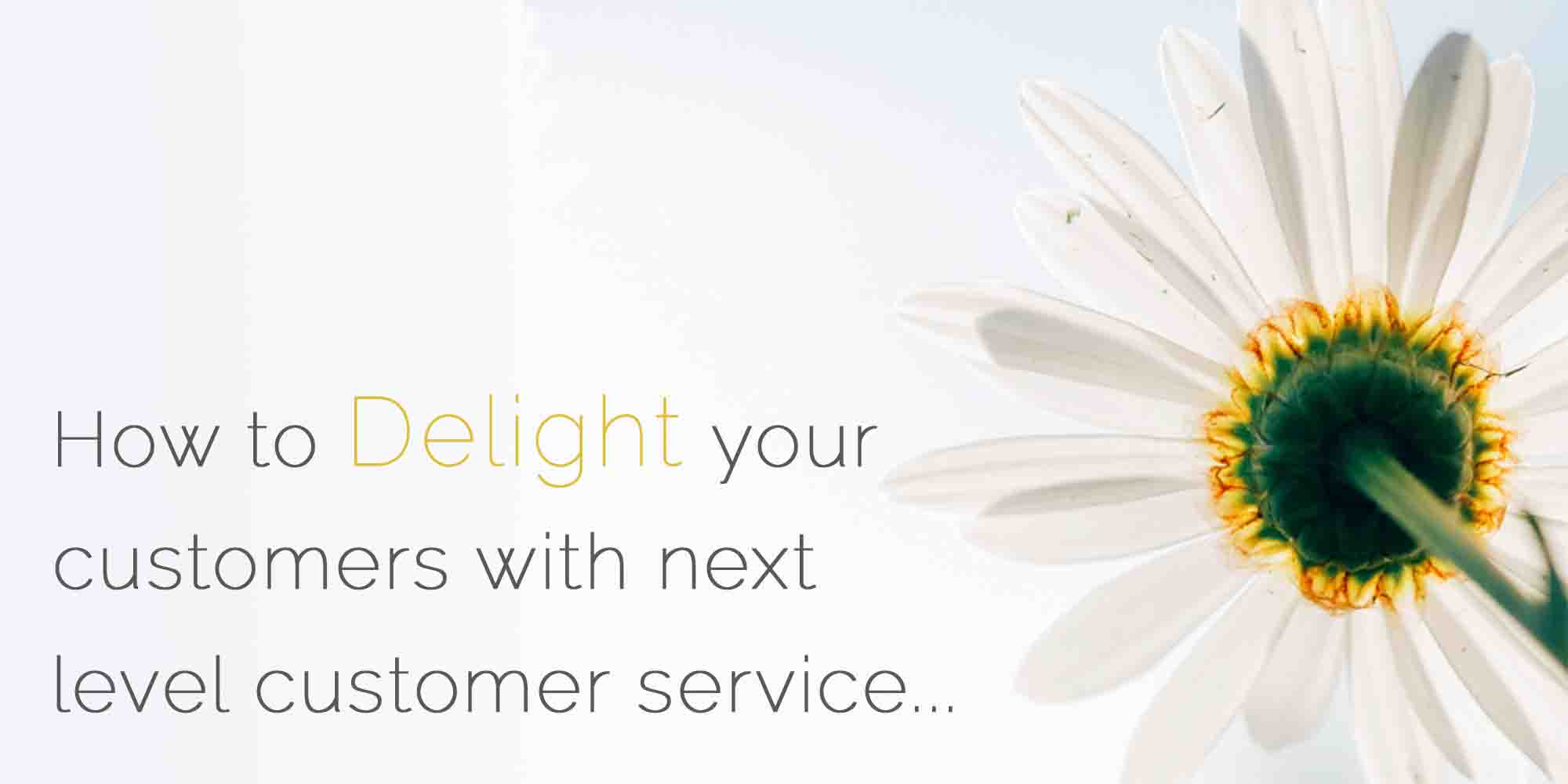 Delight Your Customers With Next Level Customer Service