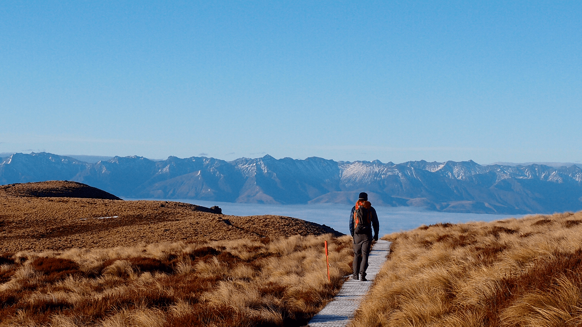 New Zealand experiential travel