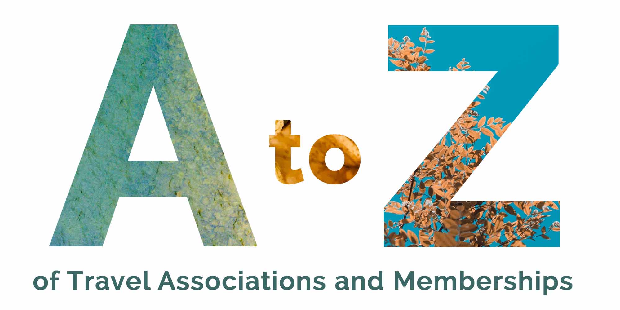 travel agents association nz