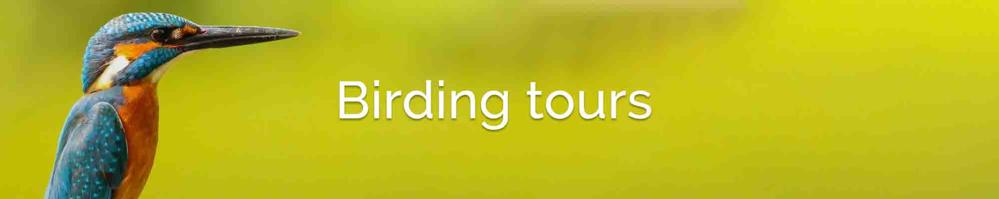 birding tours