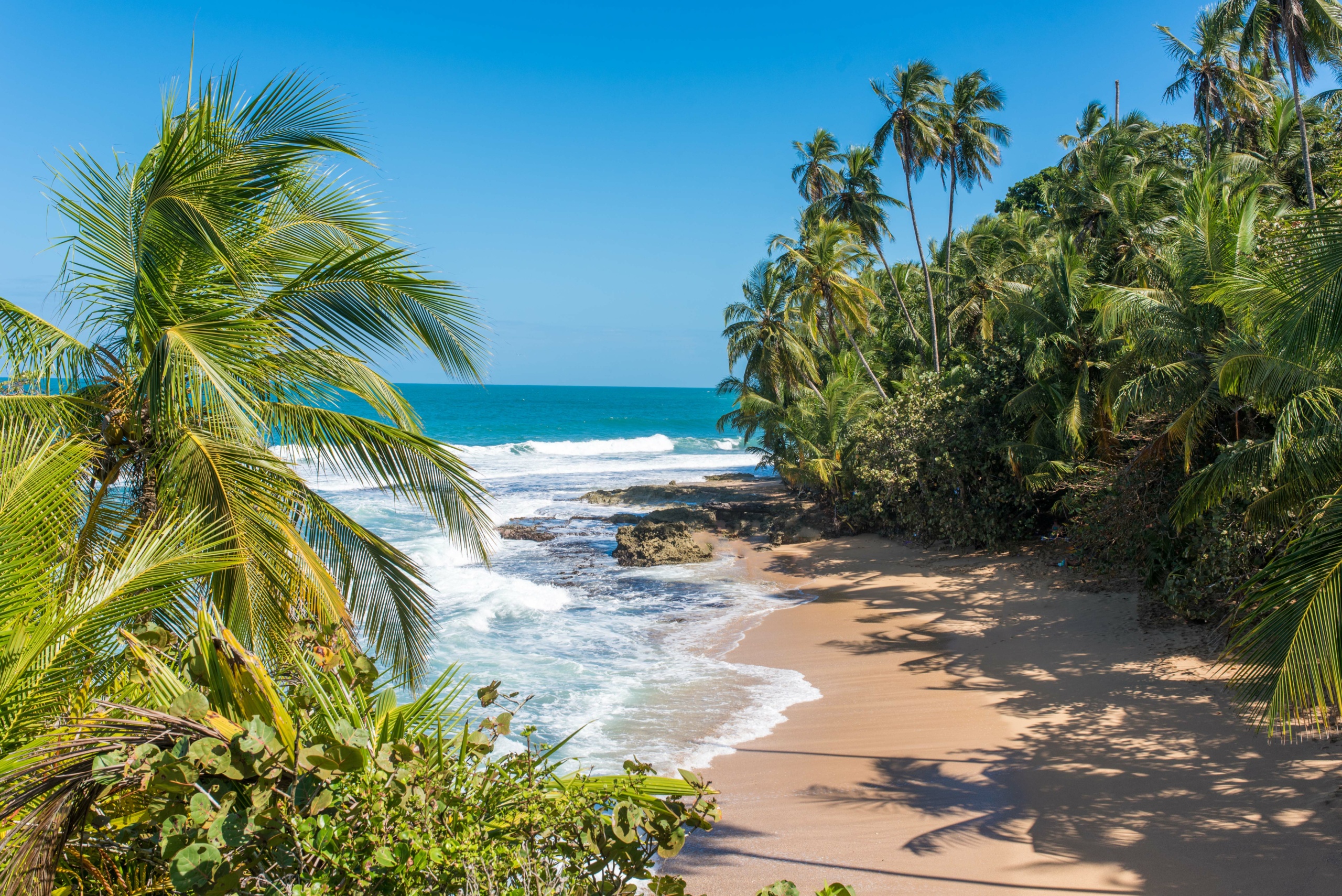 a Coats Rican Beach available to see within a tour